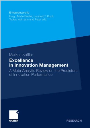 Excellence in Innovation Management A Meta-Analytic Review on the Predictors of Innovation Performance